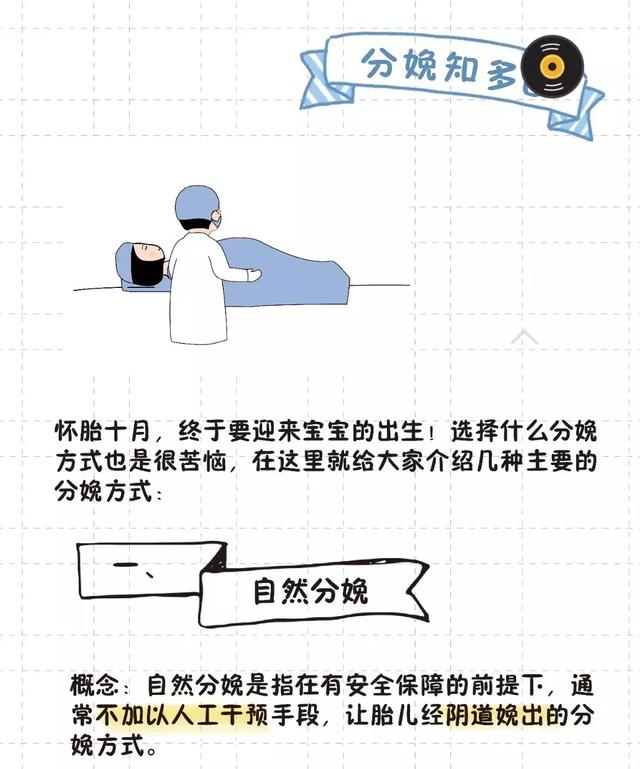 猫的生育常识和技巧，最全的入门级生育指南