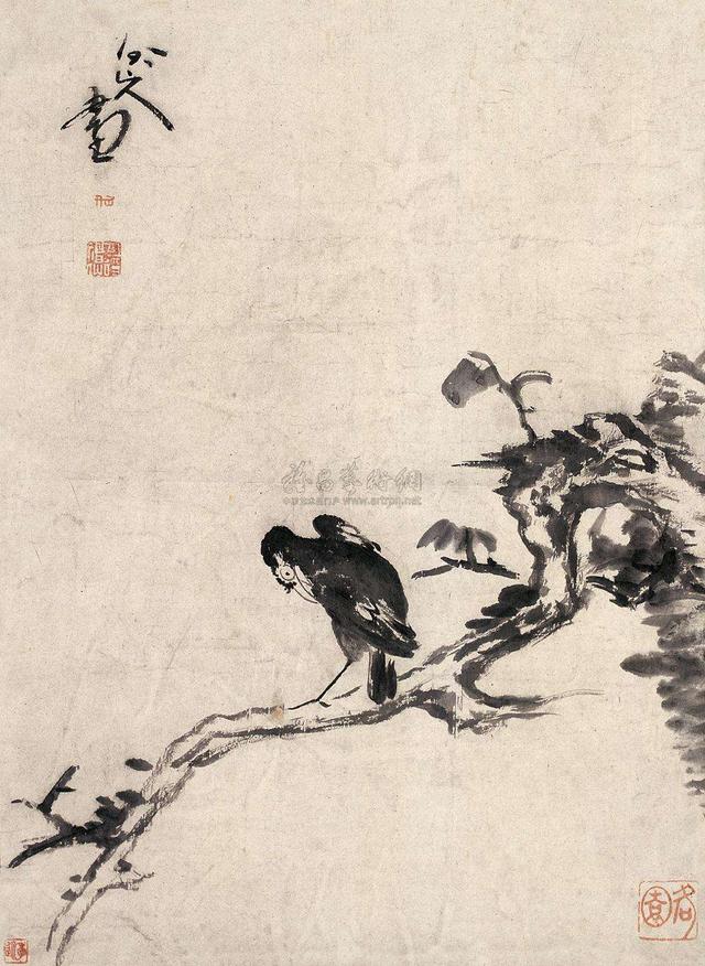 乌鸦象征着什么，乌鸦为什么会被称之为邪恶的象征