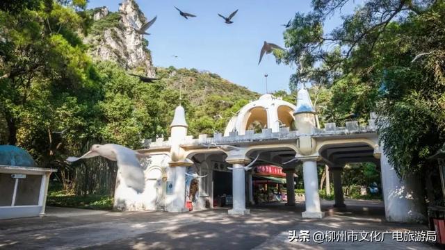 柳城县旅游攻略，攻略柳人游柳