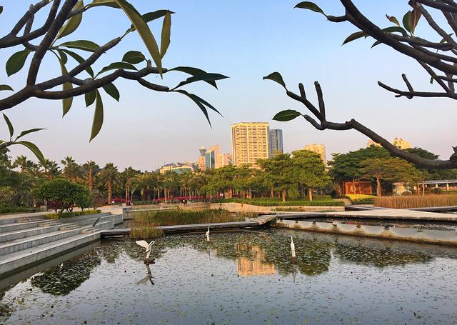 厦门岛内最大公园，厦门岛内6大公园