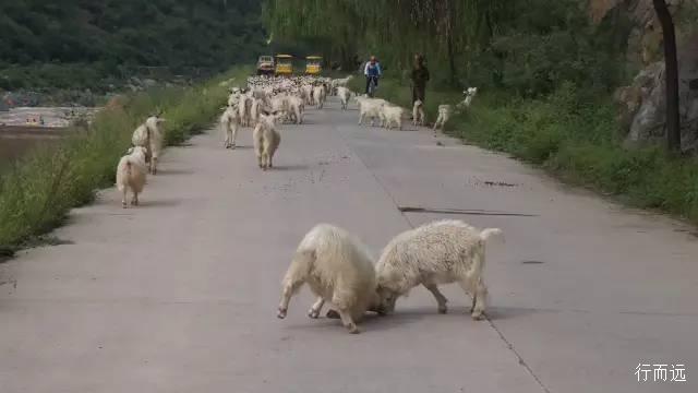 龙岩湖西大峡谷，龙岩大峡谷还想再去