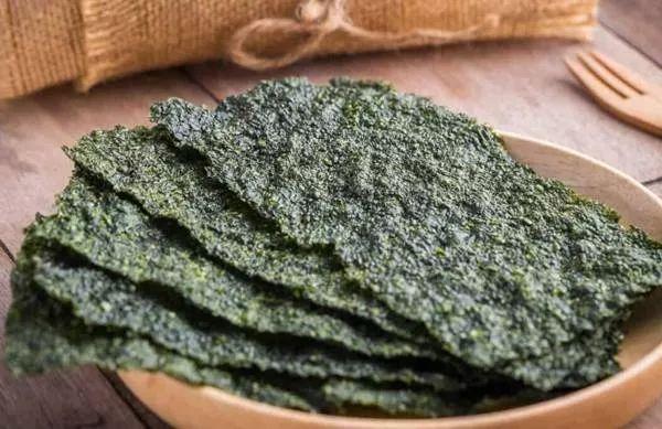 猫咪能吃海苔吗，养猫时什么食物不能吃（猫咪不能吃的10种常见食物大公开）