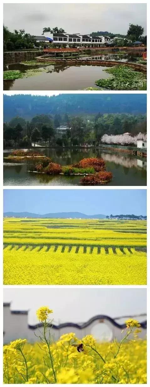 游古镇赏宋瓷，遂宁小众旅游攻略