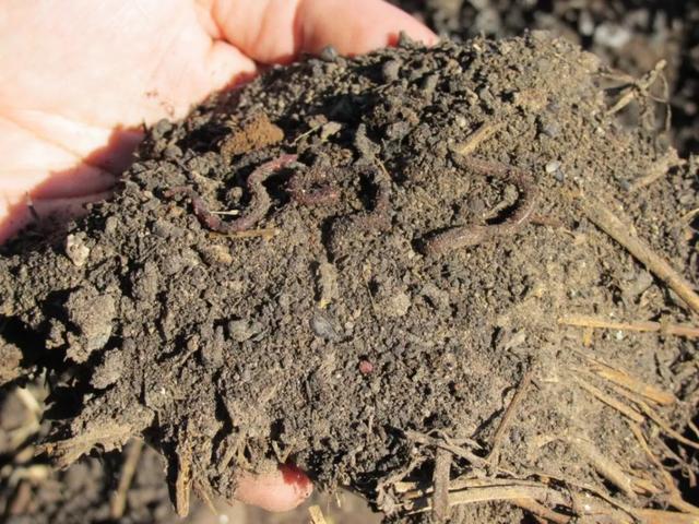 225年代代相传的阿尔萨斯名庄，阿根廷一级名庄