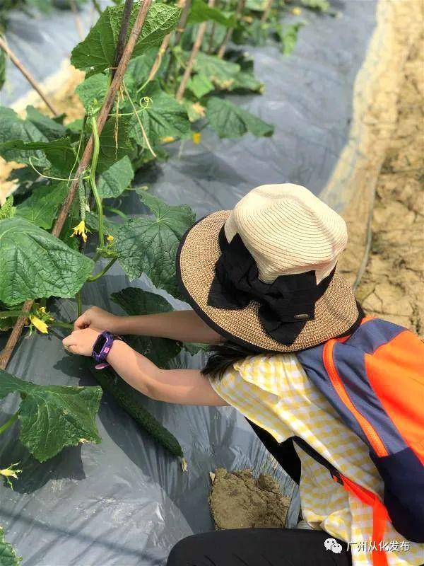 广州六一儿童节游玩推荐，儿童节溜娃不用愁