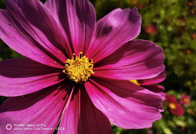 mate40pro，华为mate40pro深度测评优缺点