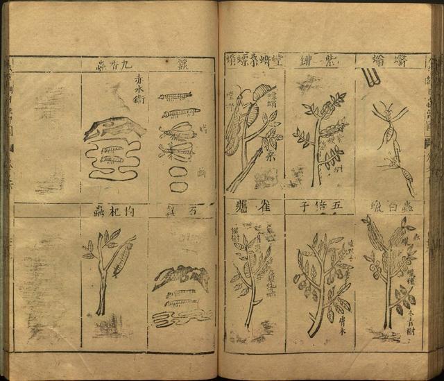 本草纲目全书带图，李时珍本草纲目全书（李时珍著《本草纲目》附图卷）