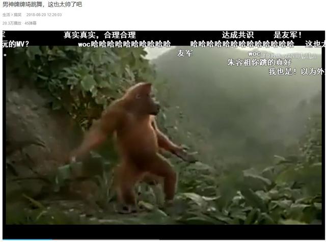 刘叉叉教琦琦社会摇，一个牌牌琦倒下