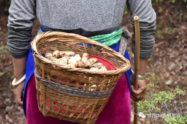 广东端午节旅游景点排行，香格里拉端午节景区景点活动合集出炉