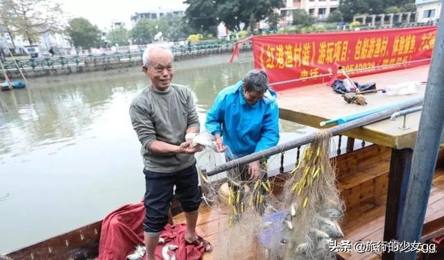 广州南沙十九涌，广州南沙游玩的地方（距离市中心80公里却游人如织）