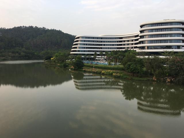 广州哪里可以看海，广州旅游看海的地方（广州这些“无敌海景”碧道藏不住了）