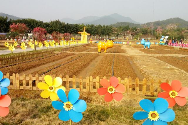 广东佛山风景区旅游景点大全，佛山走红一景区