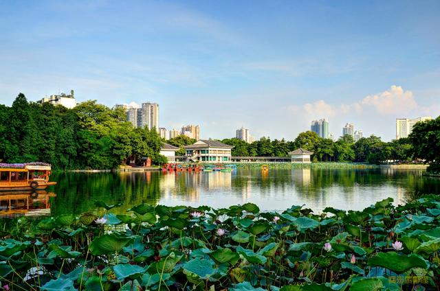 广州有多少人口，广州越秀区户籍人口为什么这么多