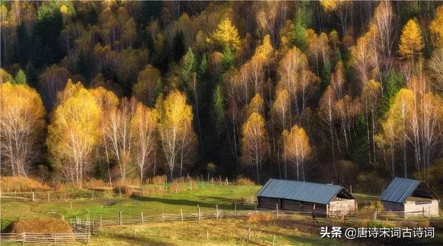 岳飞满江红多少字，岳飞写的满江红有几首（岳飞在武汉写下《满江红》）