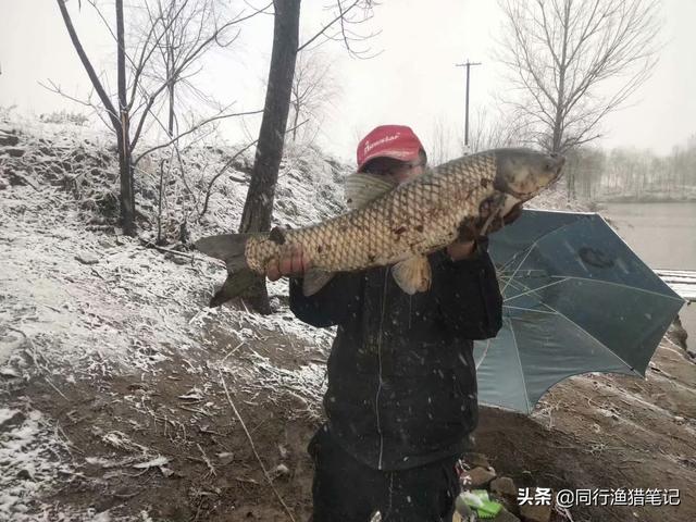 直柄和枪柄的区别，怎么区分直柄和枪柄（由直柄和枪柄的区别说开来）