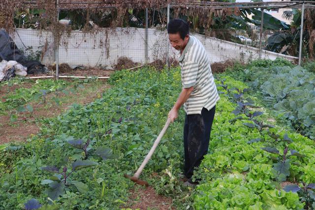 深圳市农家乐旅游景点有哪些，深圳人的后花园--深圳农家乐游玩好地方推荐
