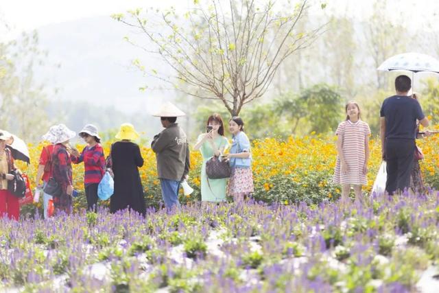 金坛茅山景点介绍，金坛茅山人气爆棚