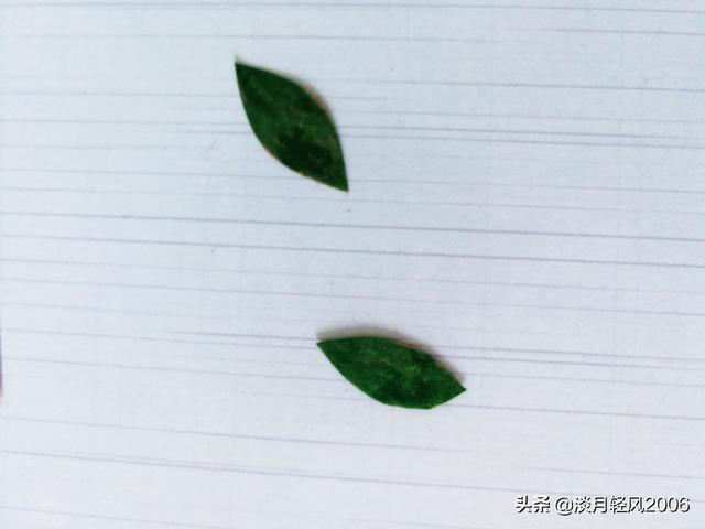 diy手工儿童贴画，带孩子一起用铅笔屑做贴画