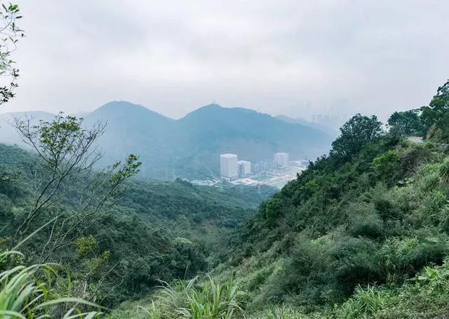 深圳十大山风景区，推荐10个非常值得一去的登山打卡点