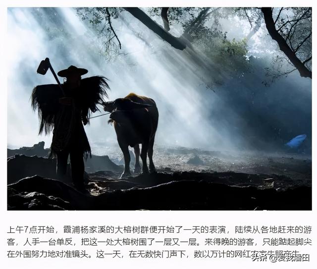 阳朔遇龙河邂逅广西最美的状元桥，潘田华西桥和阳朔