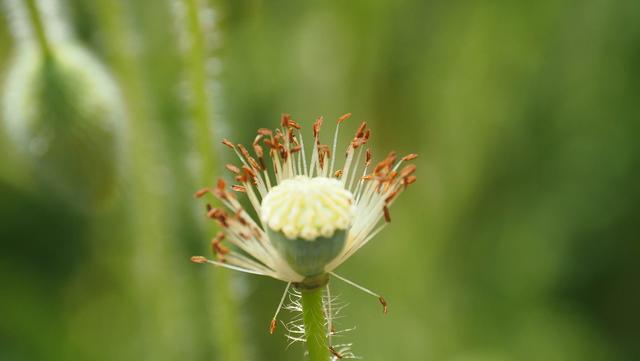 奥林巴斯em1，奥林巴斯em1mark3测评