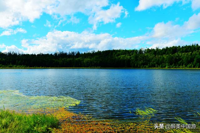 阿尔山国家森林公园，阿尔山国家森林公园景区讲解