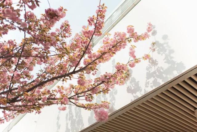 江苏师范大学排名，江苏师范大学江苏省排名第几（泰院无缘前五）