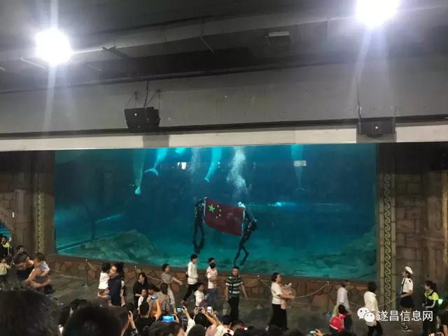 杭州长乔极地海洋公园，杭州长乔极地海洋公园亲子游（杭州海底世界的“老朋友”还好吗）