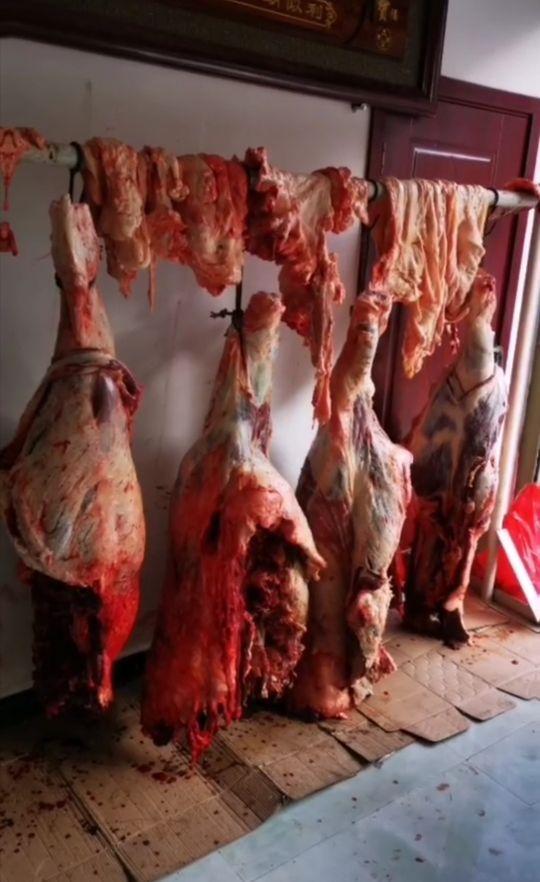 罗平油菜花最佳时间，去罗平看油菜花攻略