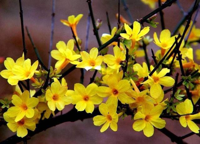 人与人之间的关系要有点距离，人跟人之间最合适的距离