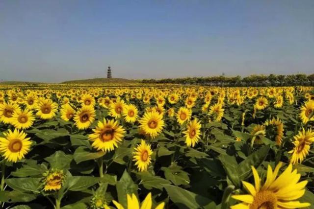 临沂兰陵景点介绍，山东临沂兰陵的美景