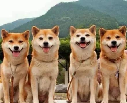 水瓶座专属英文名，12星座最适宜的英文名来了