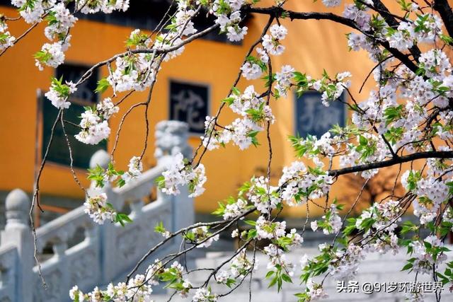 南京鸡鸣寺的历史简介，走进鸡鸣寺，感受千年历史
