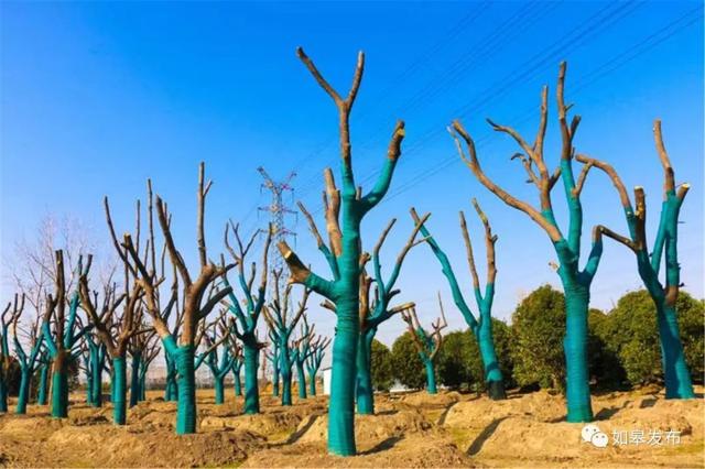 圣迹苍岩田园风光，邂逅最美下驾原