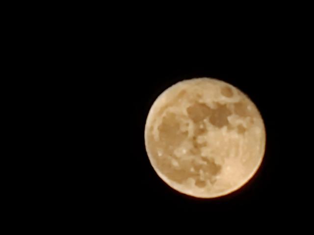 花未开全月未圆，花未全开月未圆正是人生好时节（花好月不圆）