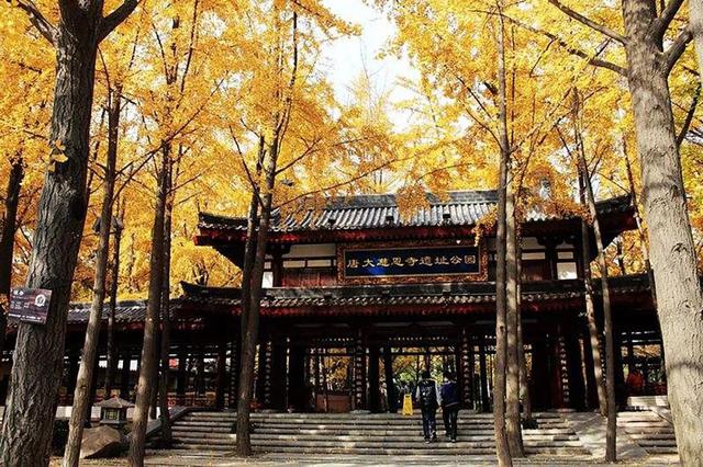 不止一面的西安，这里是西安