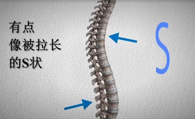 中国脊柱脊髓杂志，脊柱脊髓杂志中文（关于举办中国康复医学会第十五届脊柱脊髓专业委员会学术会议的通知）