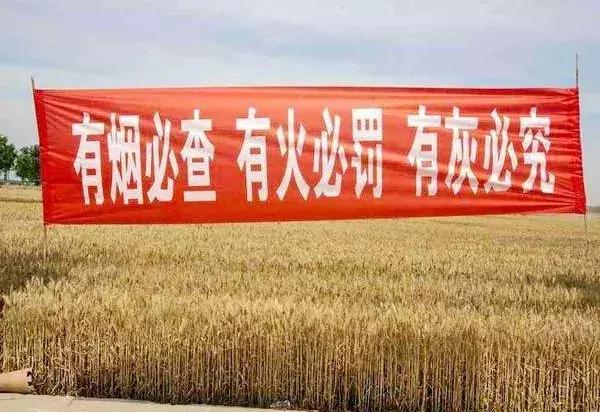 关于秸秆禁烧的宣传资料，关于秸秆禁烧这些你需要了解→