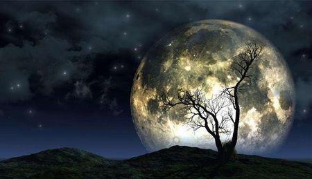 从月球上看地球，从月球的角度看地球（从月球上会看到多大的地球）