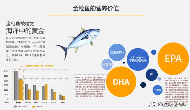 蓝鳍金枪鱼图片，蓝鳍金枪鱼是否是最好的（大西洋蓝鳍金枪鱼巡礼）