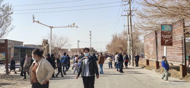 杏花节活动开幕，杏花节我来啦