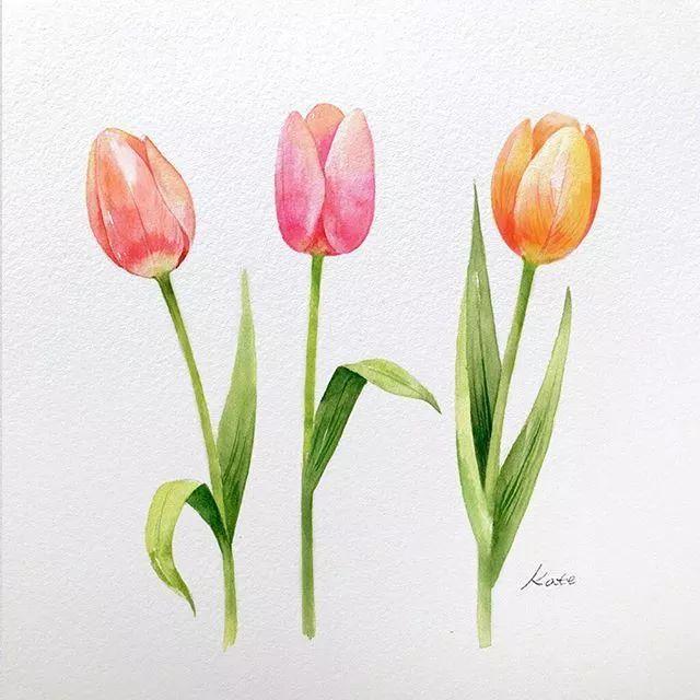 美丽的花怎么画，一株花怎么画简单又漂亮（线描画——春回大地）