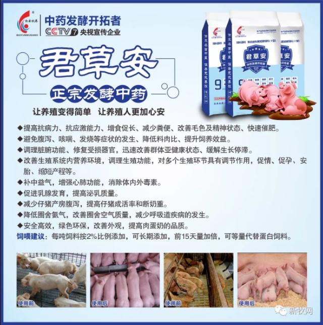 养猪催肥的最佳方法，养猪催肥秘方怎么给猪催肥