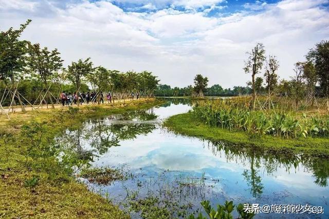 广州南沙十九涌，广州南沙游玩的地方（距离市中心80公里却游人如织）