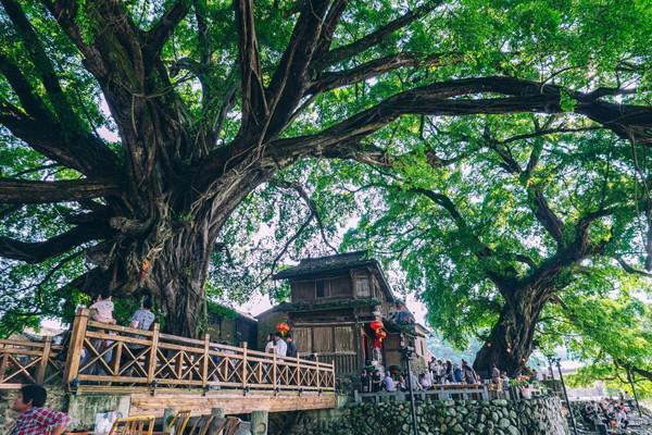 福建南靖千年古镇云水谣，带你解锁不一样的精彩