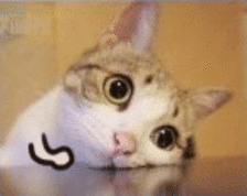 沈阳地铁9号线正式开通，沈阳地铁9号线开通倒计时