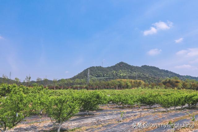 安吉旅游必去的景点，安吉旅游攻略必去景点推荐