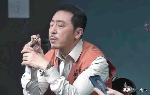 扫黑风暴麦佳真实身份是什么，扫黑风暴麦佳最可悲