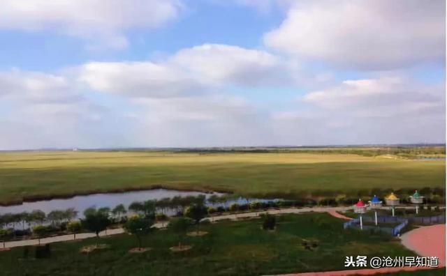 沧州有什么可以游玩的景点，沧州最新最全旅游攻略