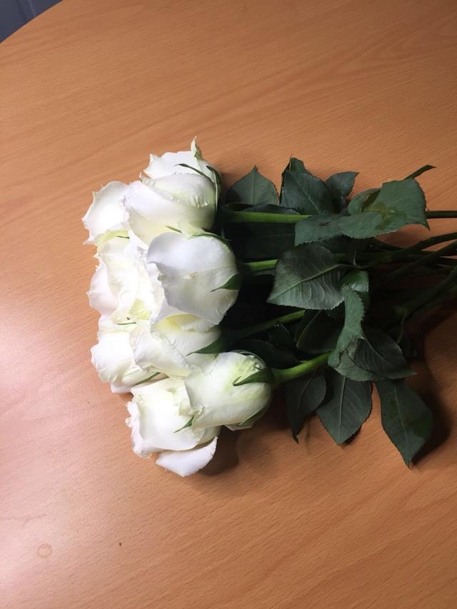 带刺的玫瑰花图片，玫瑰花带刺的品种（摄影#图片：多彩的刺玫瑰花…）